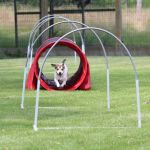 Agility